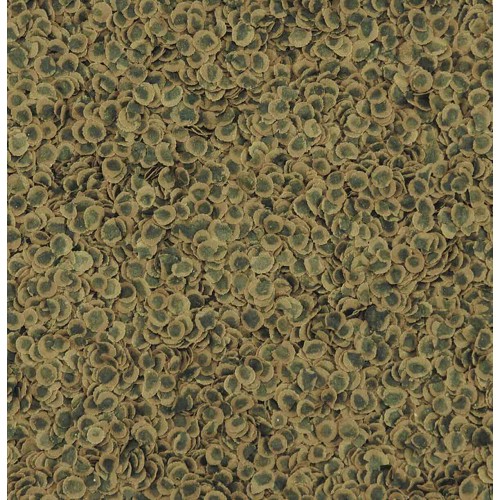 Tetra Pro Algae Bitkisel Cips Yem 100 Gram